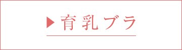 プチ胸向け育乳ブラ