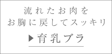 グラマー向け育乳ブラ