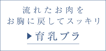 グラマー向け育乳ブラ