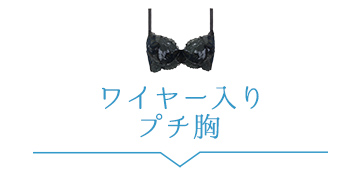 ランジェリープチ向け(ワイヤー入り)