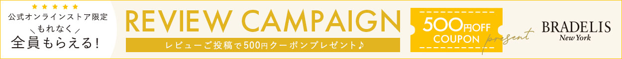 レビュー投稿