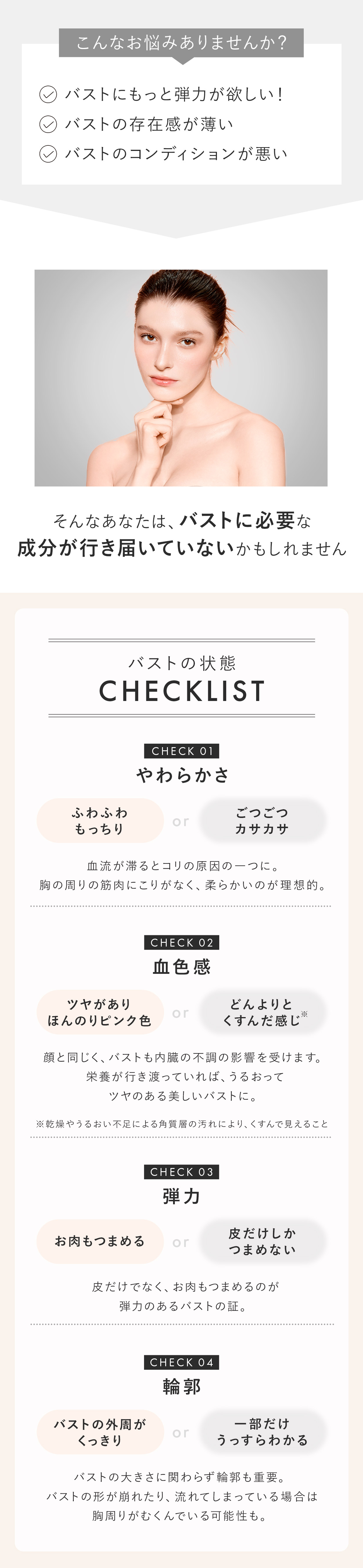 バストの状態チェックリスト