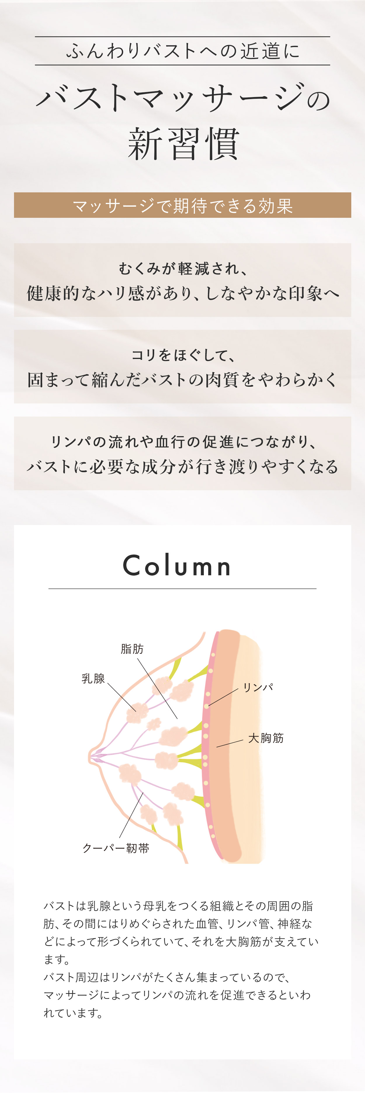 ふんわりバストの近道に「バストマッサージの新習慣」