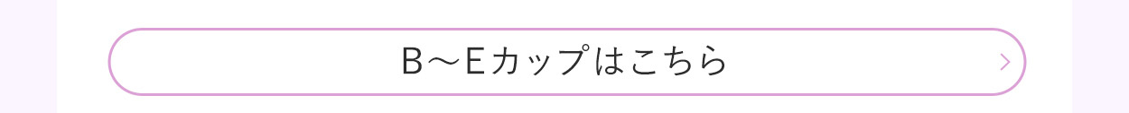「B~Eサイズ」ご購入はこちら