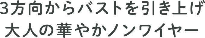 3方向からバストを引き上げ 大人の華やかノンワイヤー