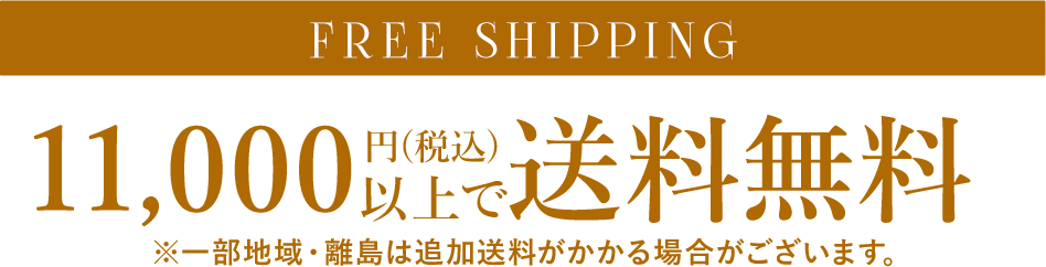 11,000円(税込)以上で送料無料