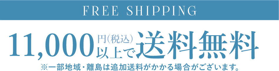 11,000円(税込)以上で送料無料