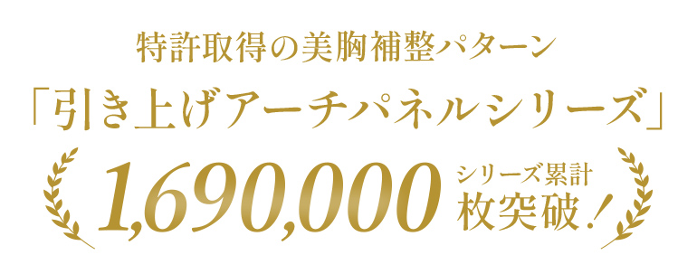 引き上げアーチパネル累計本数