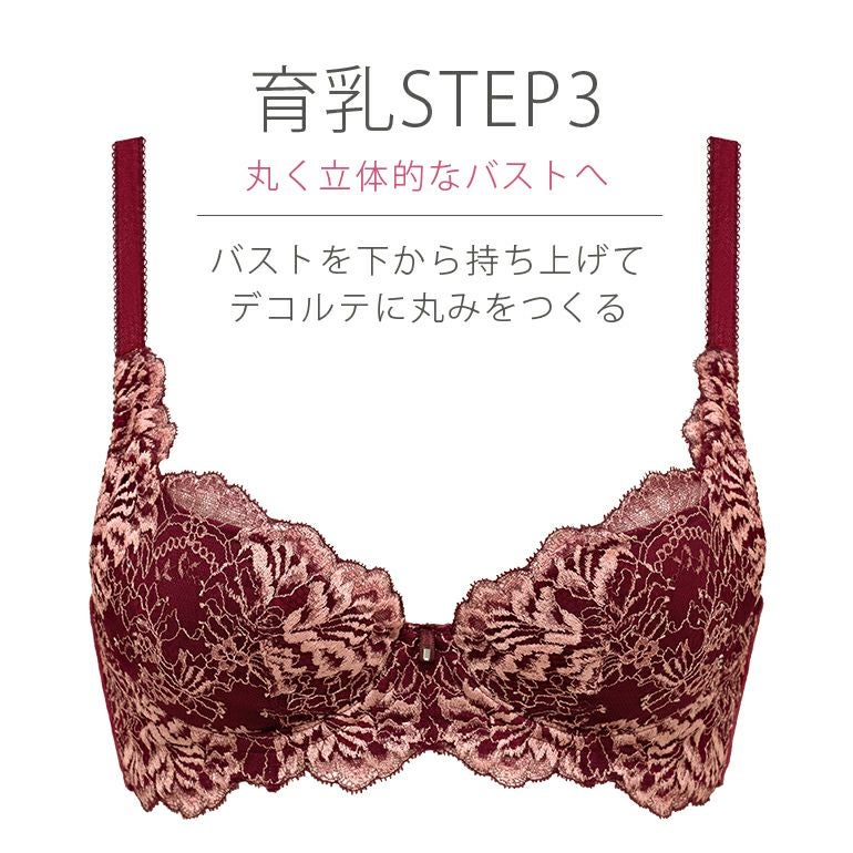 ブラデリスニューヨーク　　リリアstep3 ブラデリス ヴィオラブラ(ステップ3) | ブラデリスニューヨーク【公式