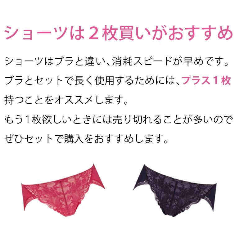 ●たっちぃ、●白黒セットブラデリス E70 ヴィクトリア ブラ タンガ ブラデリス ヴィオラタンガ | ブラデリスニューヨーク【公式通販】育乳