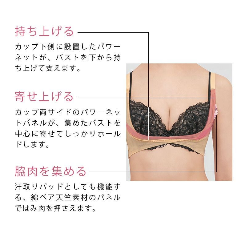 【masa様】ブラデリス コットンバストリフター サンドXS6枚セット ブラデリス バストリフター | ブラデリスニューヨーク【公式通販】育乳