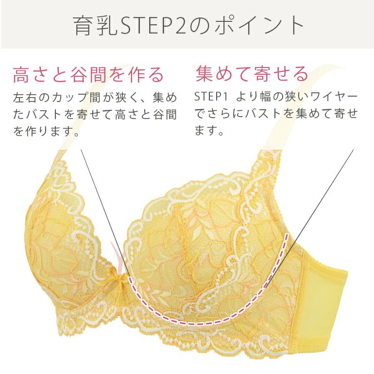 ブラデリス ベルステップ2ブラ22S1 (グラマー胸) | ブラデリス