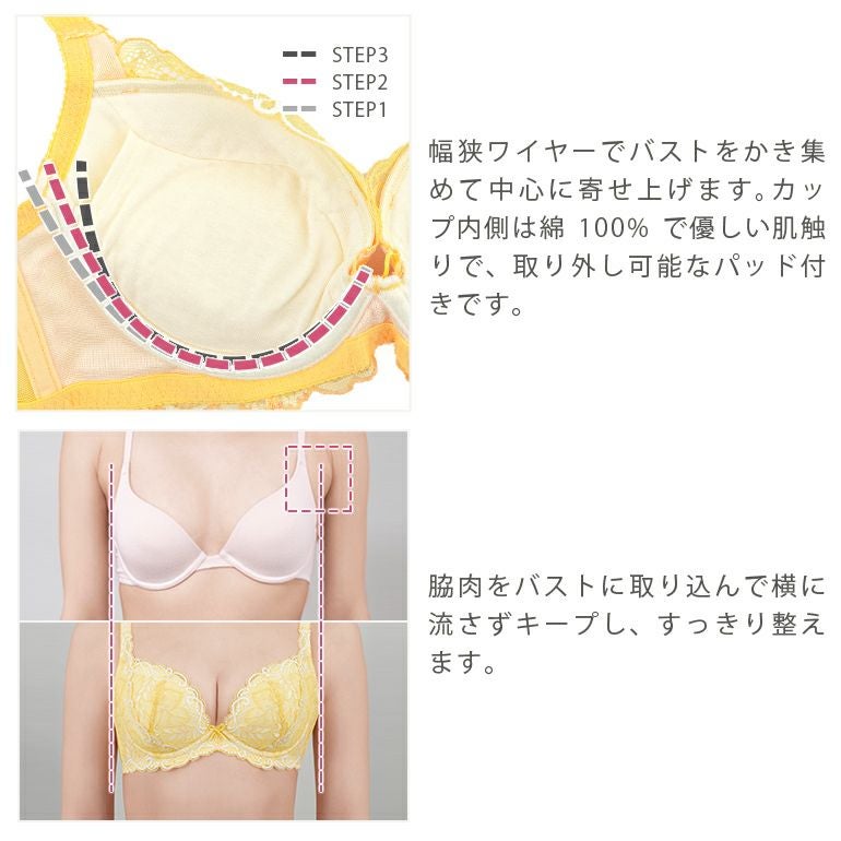 ブラデリス ベルステップ2ブラ22S1 (グラマー胸) | ブラデリス