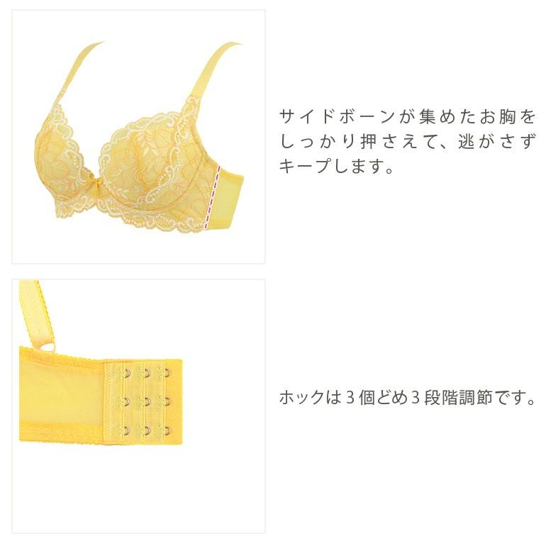 ブラデリス ベルステップ2ブラ22S1 (グラマー胸) | ブラデリス