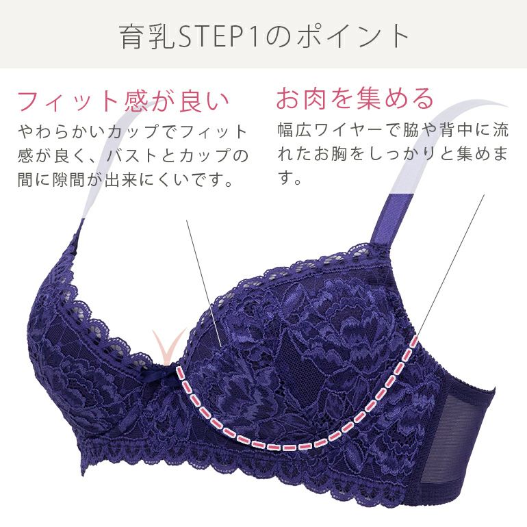 ブラデリスニューヨーク　上下セット　B65 ステップ1　ブラジャーショーツセット BRADELIS New York - ブラデリスニューヨーク 上下セット B65 ステップ