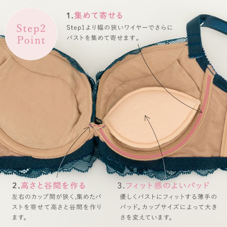 ブラデリス ナオミステップ2ブラ24A2 | ブラデリスニューヨーク【公式