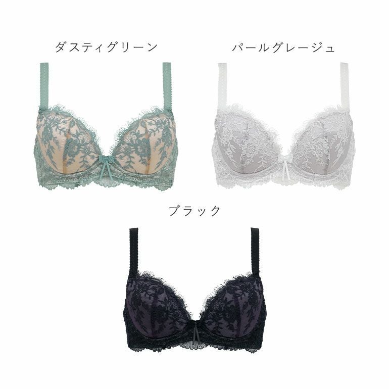 ブラデリス ジャクリーンステップ3ブラ25S1 | ブラデリスニューヨーク